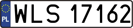 WLS17162