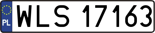 WLS17163