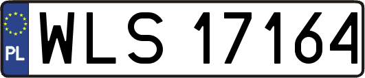WLS17164