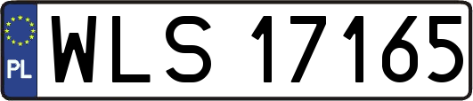 WLS17165