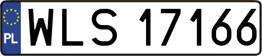 WLS17166