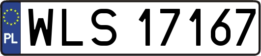 WLS17167