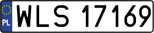 WLS17169