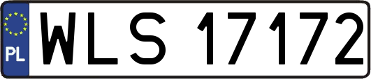WLS17172