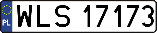 WLS17173