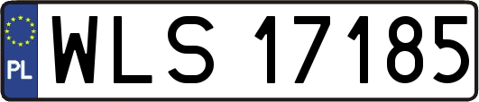 WLS17185
