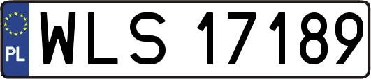 WLS17189