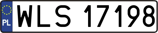 WLS17198
