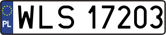 WLS17203