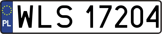 WLS17204