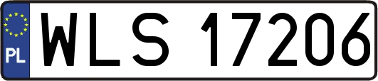 WLS17206