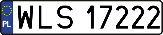 WLS17222