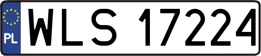 WLS17224