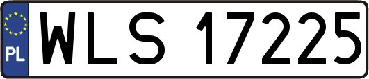 WLS17225
