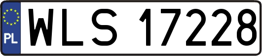 WLS17228