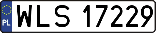 WLS17229