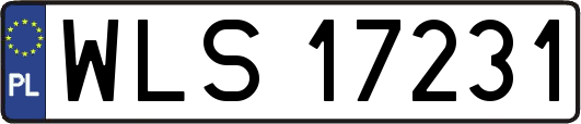 WLS17231