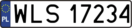 WLS17234