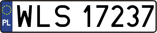 WLS17237