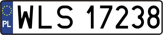 WLS17238