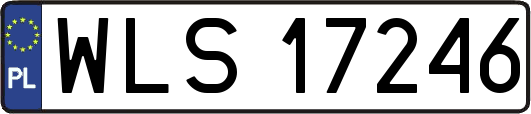 WLS17246
