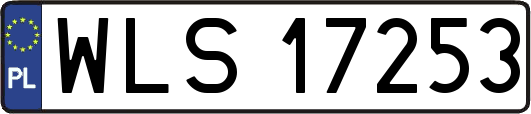 WLS17253