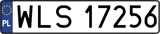 WLS17256