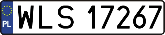 WLS17267