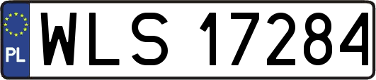 WLS17284