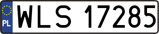 WLS17285