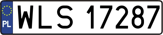 WLS17287