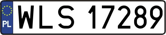 WLS17289