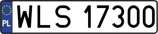 WLS17300