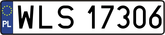 WLS17306