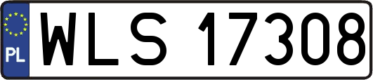 WLS17308