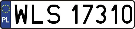 WLS17310
