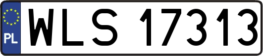 WLS17313