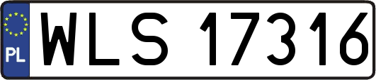 WLS17316