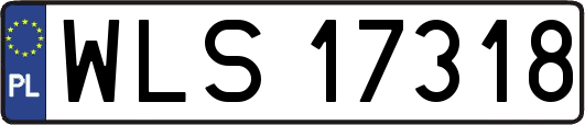 WLS17318