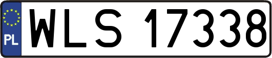 WLS17338