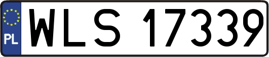 WLS17339