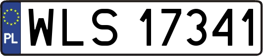 WLS17341