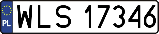 WLS17346