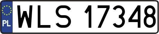 WLS17348