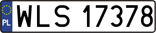WLS17378