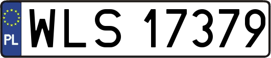 WLS17379