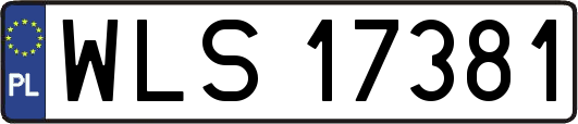 WLS17381