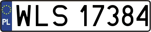 WLS17384