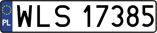 WLS17385