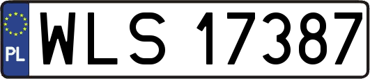 WLS17387